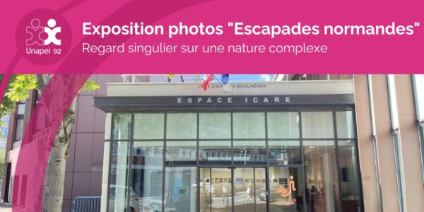 Exposition “Escapades normandes” : regard singulier sur une nature complexe